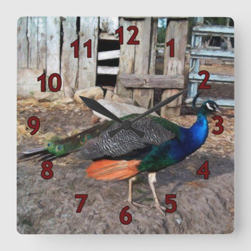 Peacock Strut Square Wall Clock