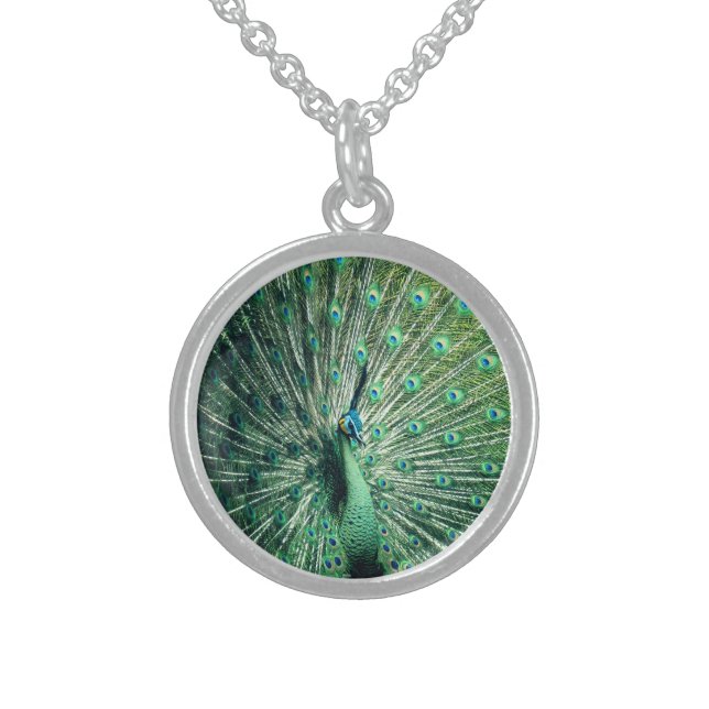 Peacock Strut  Sterling Silver Necklace (Front)