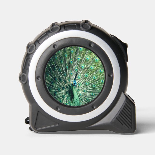 Peacock Strut  Tape Measure (Front)
