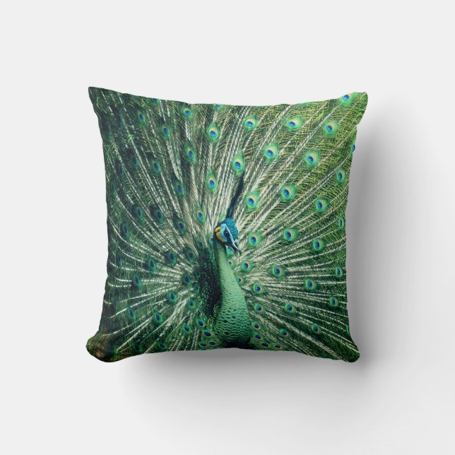 Peacock Strut  Throw Pillow (Front)
