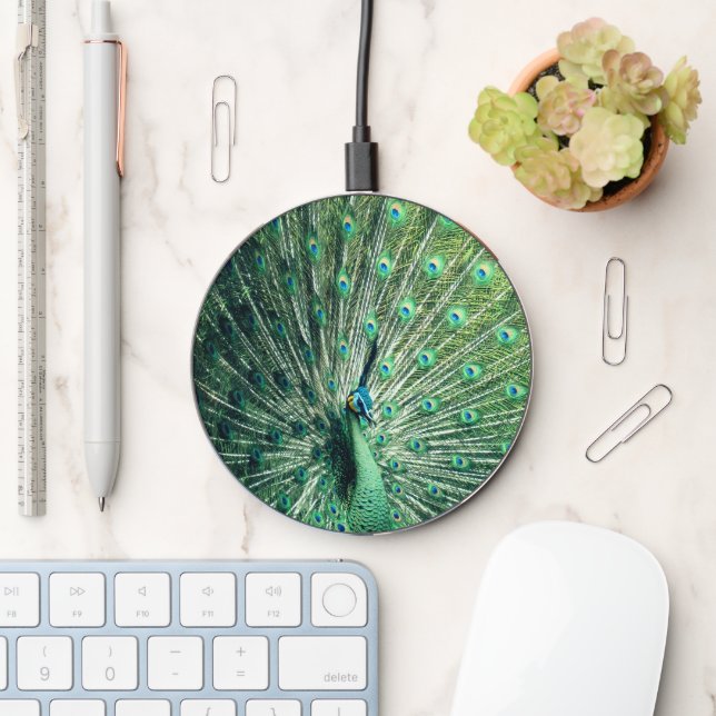 Peacock Strut  Wireless Charger (Desk)