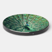 Peacock Strut  Wireless Charger (Front 2)