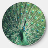 Peacock Strut  Wireless Charger (Front)