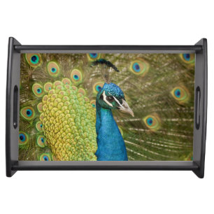 Peacock strutting serving tray