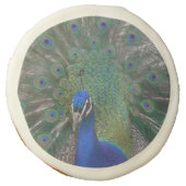 Peacock Sugar Cookies (Front)