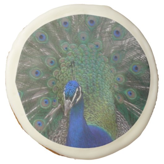 Peacock Sugar Cookies (Front)