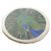 Peacock Sugar Cookies (Angled)