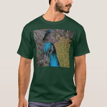 Peacock T-shirt by toots1 at Zazzle