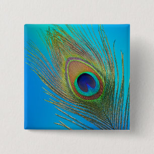 Peacock Tail Feather Button