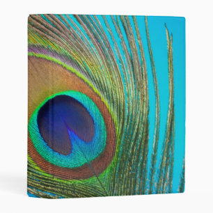 Peacock Tail Feather Mini Binder