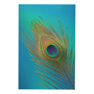 Peacock Tail Feather Wood Wall Art