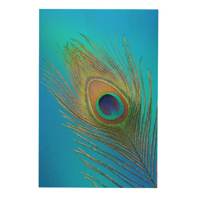 Peacock Tail Feather Wood Wall Art (Front)