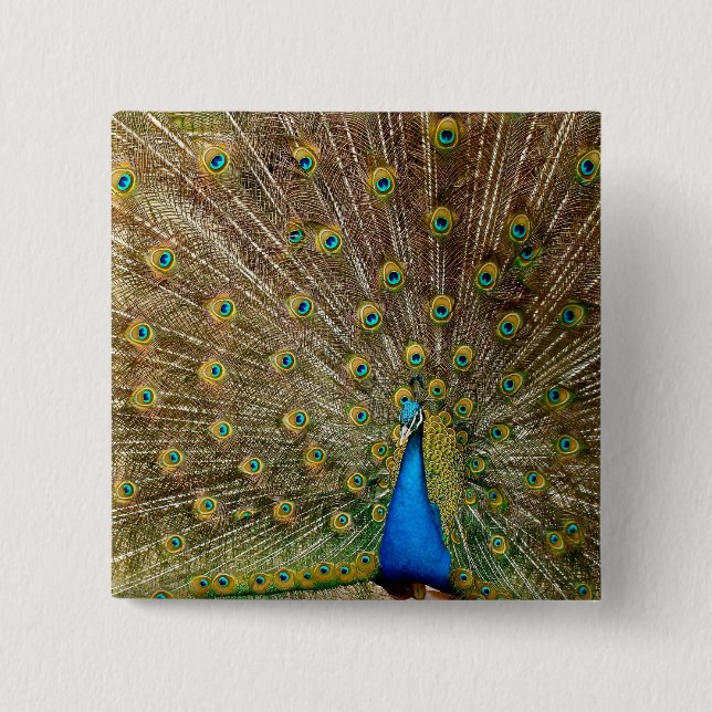 Peacock Tail Feathers Button (Front)