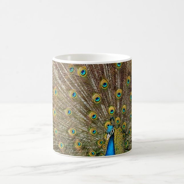 Peacock Tail Feathers Coffee Mug (Center)