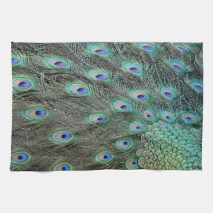 Peacock tail feathers kitchen towel