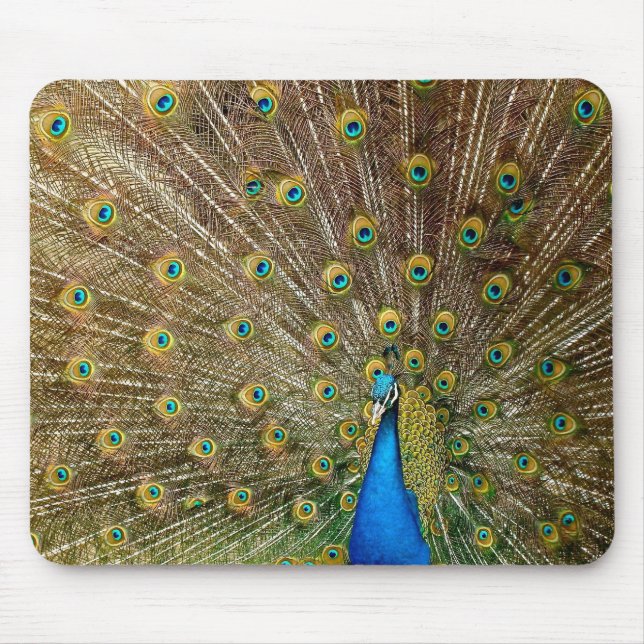 Peacock Tail Feathers Mouse Pad (Front)