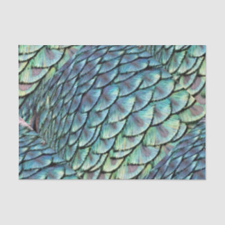 Peacock Tail Feathers Tissue Paper