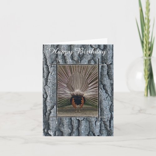 PEACOCK TAIL TREE BARK HAPPY BIRTHDAY CARD