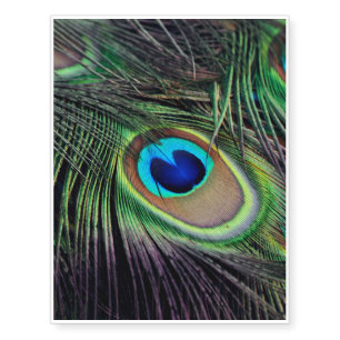 Peacock Temporary Tattoos