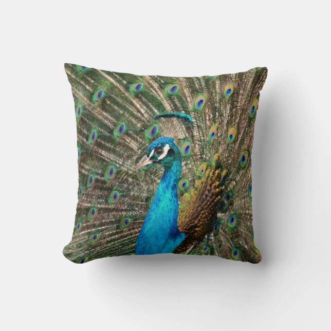 Peacock Throw Pillow (Front)
