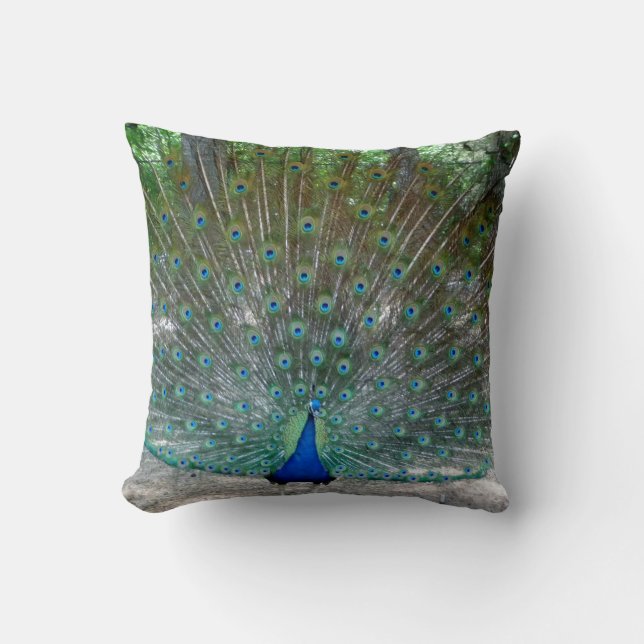 Peacock Throw pillow (Front)