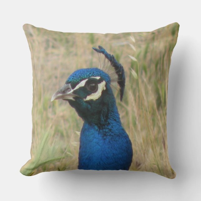 Peacock Throw Pillow (Front)