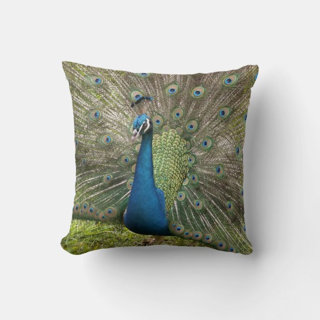 Peacock Throw Pillow (Front)