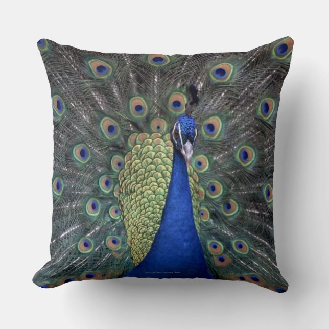 Peacock Throw Pillow (Front)