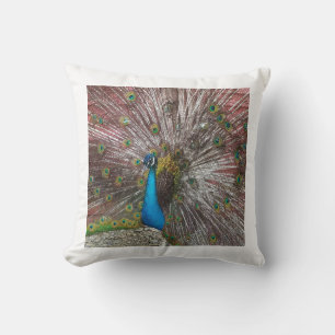 Peacock Throw Pillow
