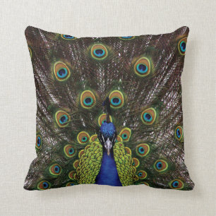 Peacock Throw Pillow