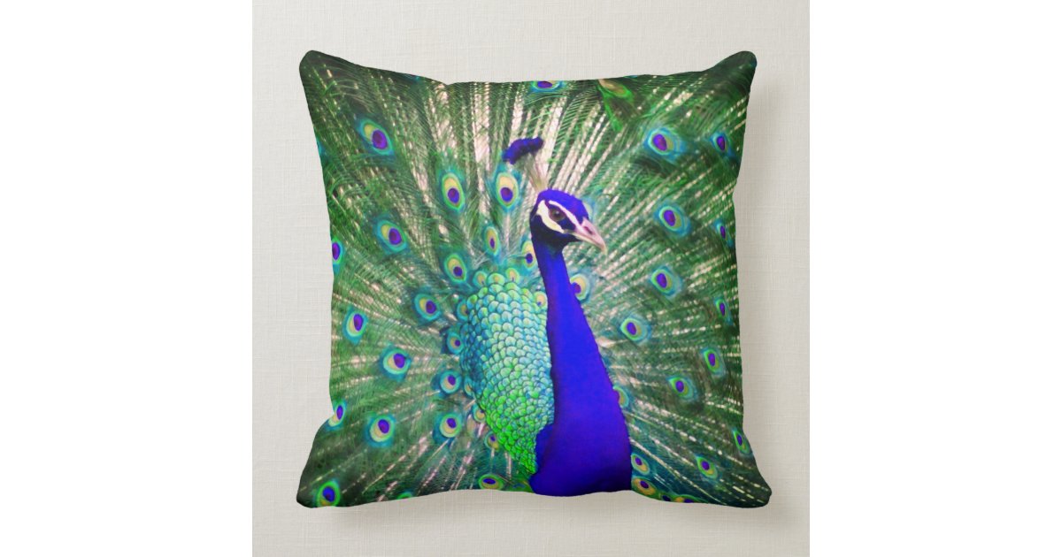 Peacock Throw PIllow