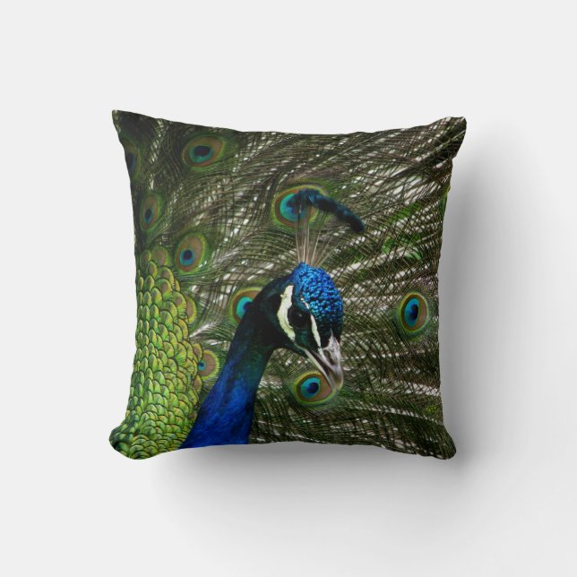Peacock Throw Pillow (Front)