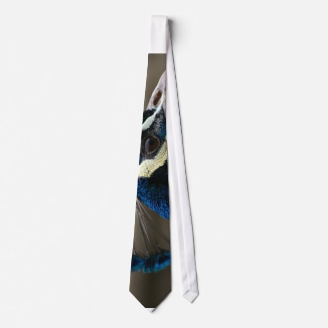 Peacock Tie (Front)