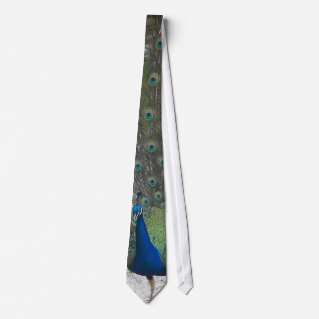Peacock Tie (Front)