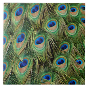 Peacock Tile