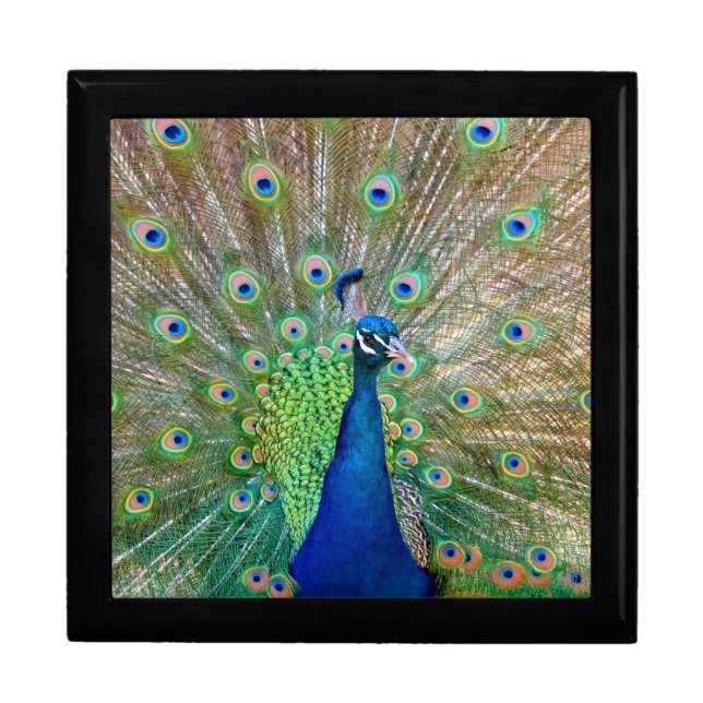 Peacock Tile Gift Box (Front)