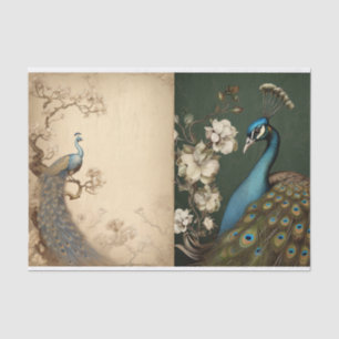 Peacock Tissue Page Paper