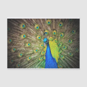 Peacock Tissue Paper