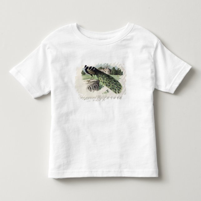 Peacock Toddler T-shirt (Front)