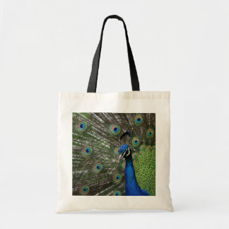 Peacock Tote Bag