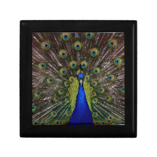 Peacock Trinket Box