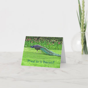 PEACOCK & TULIPS /PROUD AS A PEACOCK/CONGRATULATIO CARD