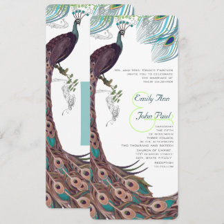 Peacock Vintage 3 Feathers Invitation