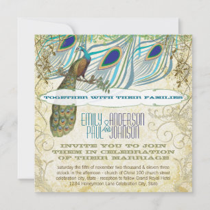 Peacock Vintage 3 Feathers with Peacock Invitation