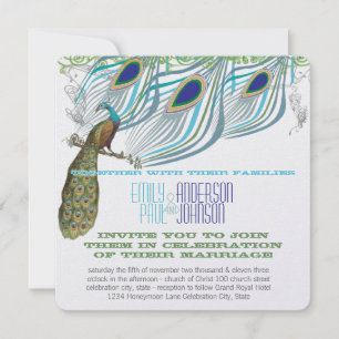 Peacock Vintage 3 Feathers with Peacock Invitation