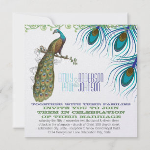 Peacock Vintage 3 Feathers with Peacock Invitation