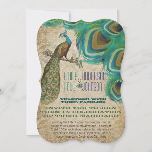 Peacock Vintage Feathers with Peacock Invitation