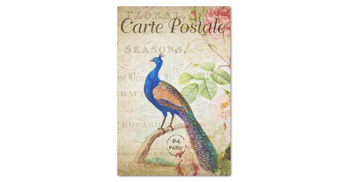 Peacock Vintage French Post Card Decoupage Tissue Paper