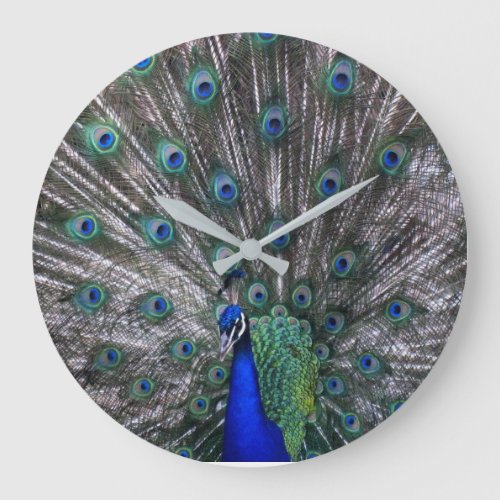 Peacock Wall Clock