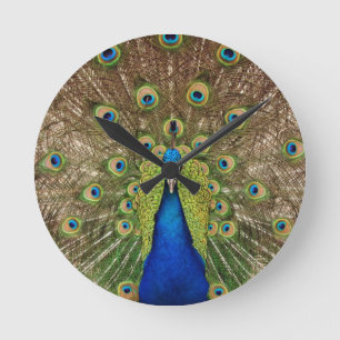 Peacock wall clock